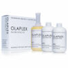 Kép 1/2 - OLAPLEX Salon Kit csomag + Olaplex Broad Spectrum Chelating Treatment 370 ml